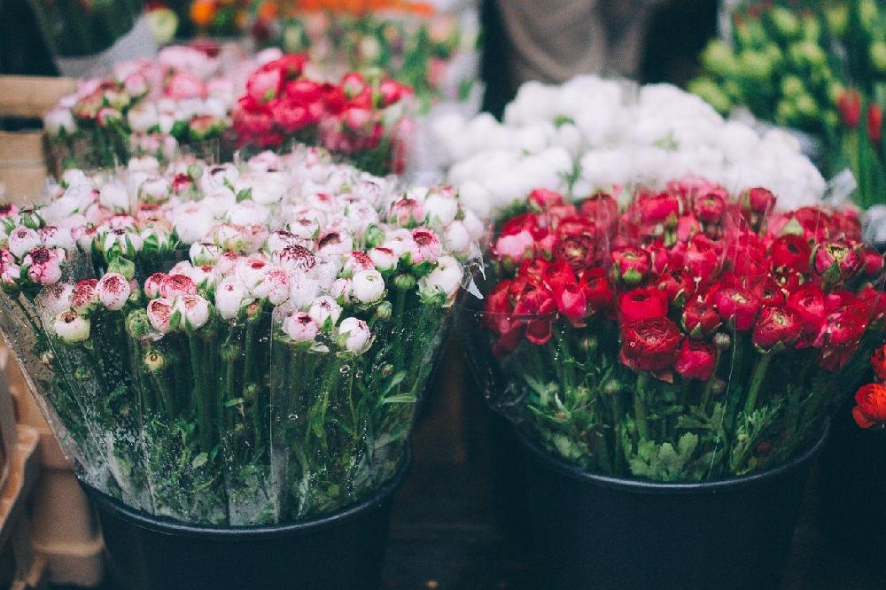 Kwiaciarnia jako pomysł na biznes. Jak odnieść sukces w branży florystycznej?
